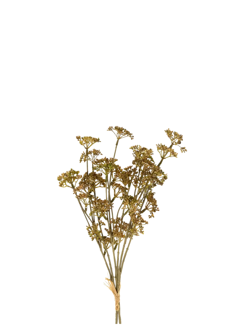 Bouquet herbes de sedum - Automne