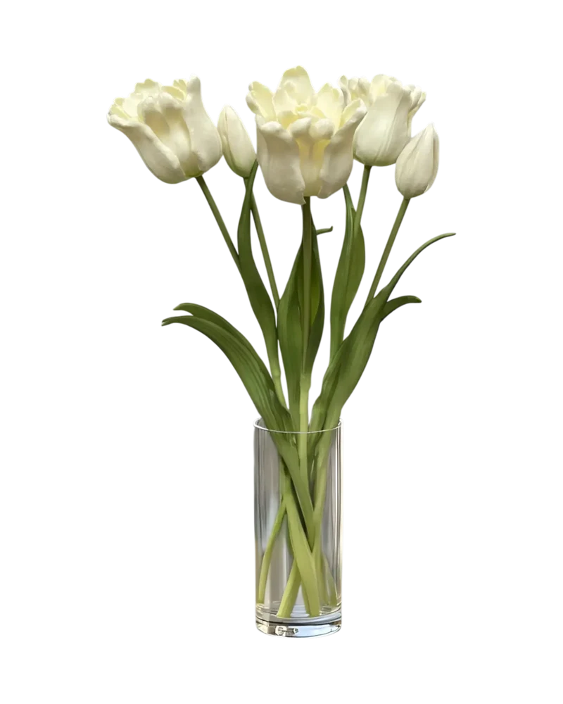 TULIPE PERROQUET BLANCHE 18''