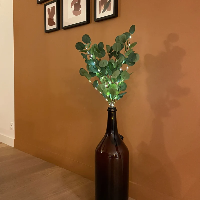 Branche d'eucalyptus