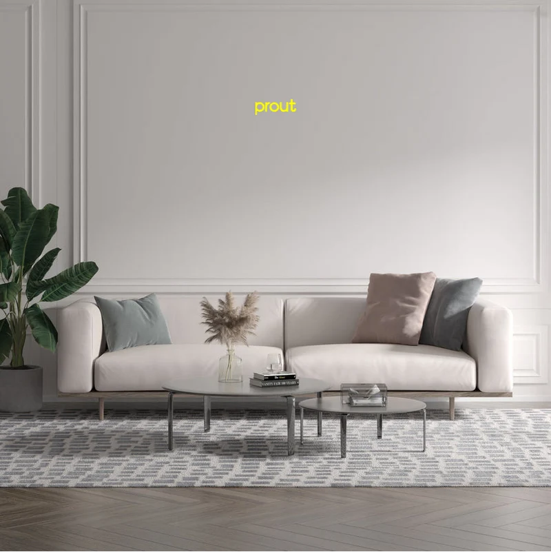 Custom text: prout