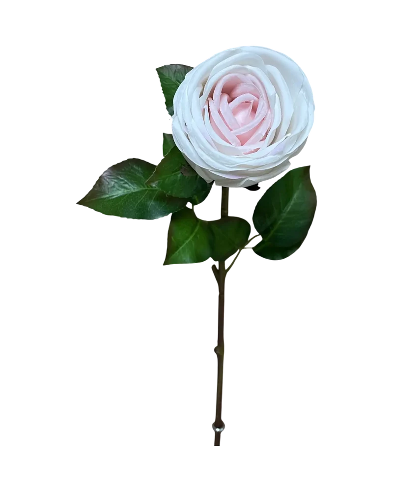 Branche de Rose Blush 29"
