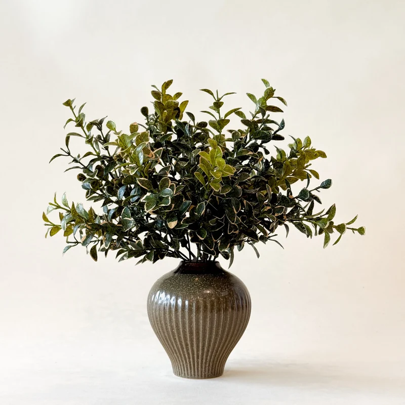 Branche EUONYMUS 14"