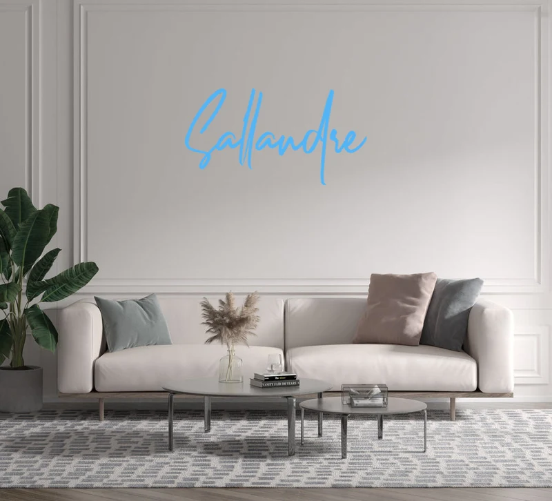 Custom text: Sallandre